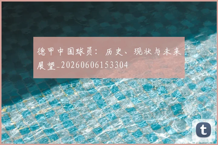 德甲中国球员：历史、现状与未来展望_20260606153304