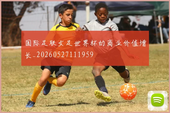 国际足联女足世界杯的商业价值增长_20260527111959